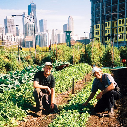 agricoltura_biologica_cina_agricoltura_biologica_cinese_alimentazione_biologica_cina_city_farm_5