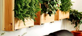 aria_pulita_con_piante_casa_appartamento_cov_composti_organici_volatili_3