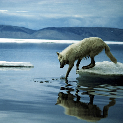 bolla_metano_artico_fuoriuscite_metano_siberia_laghi_metano_riscaldamento_globale_bomba_metano_2