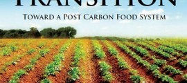 agroalimentare_transizione_agricoltura_sostenibile_sistema_agroalimentare_sistema_agricoltura biologica_1