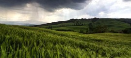 alberese_agricoltura_sostenibile_polo_agricoltura_sostenibile_toscana_polo_agroalimentare_sostenibile_arsia_7