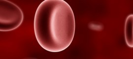 celle_a_combustibile_sangue_umano_celle_combustibile_microbiche_cella_a_combustibile_microbica_2
