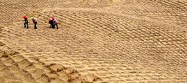 agricoltura_desertificazione_india_agricoltura_indiana_desertificazione_2