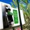 etanolo_brasile_etanolo_brasiliano_biocarburante_etanolo_usa_2
