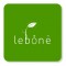 Celle a Combustibile Fai da Te. Lebônê Lancia il Progetto in Namibia e Conquista il Breakthrough Awards 2009 mfc_lebone_celle_combustibile_microbiche_1