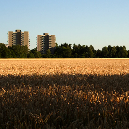 agricoltura_urbana_alimentazione_agricoltura_urbana_produzione_alimentare_locale_1