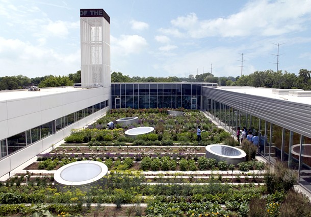 agricoltura urbana, agricoltura urbana sostenibilità, sostenibilità agricoltura urbana, agrioltura tetti