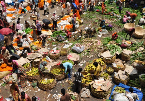 agricoltura biologica, agricoltura urbana