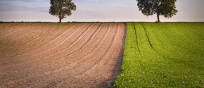 confagricoltura, energia da biomassa, agroenergia