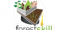 forest skill, contest forest skill, forest skill accenture