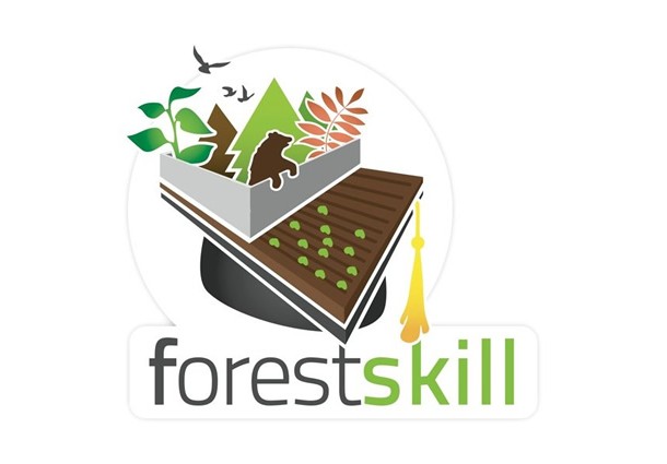 forest skill, contest forest skill, forest skill accenture