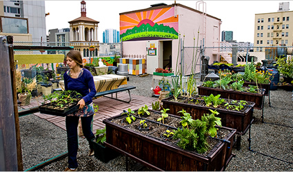 agricoltura urbana, green business