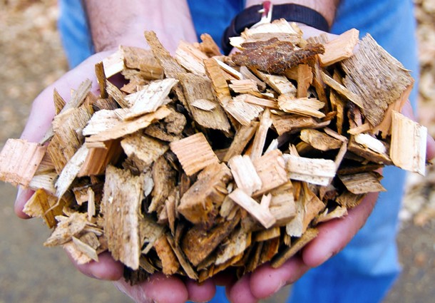 biomassa, italia biomasse, biomasse