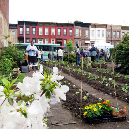 agricoltura urbana