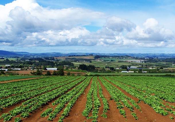 agricoltura sostenibile, green economy