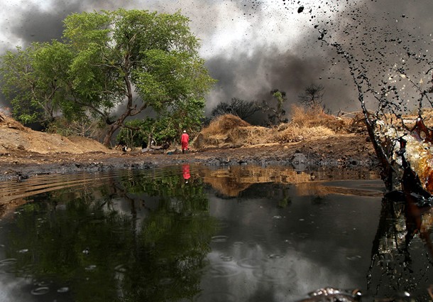 shell, nigeria, processo shell nigeria