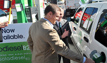 solazyme, solazyme alghe, biodiesel alghe in vendita