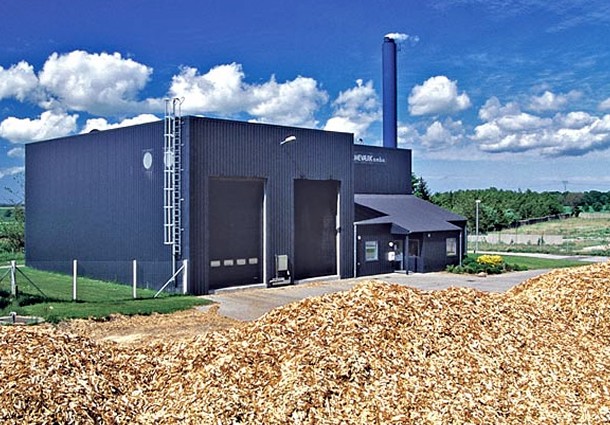 biomassa, energia da biomasa, silvana castelli