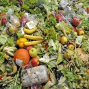 food waste, conservazione cibo, tecnologia conservazione cibo