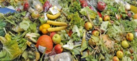 food waste, conservazione cibo, tecnologia conservazione cibo