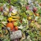 food waste, conservazione cibo, tecnologia conservazione cibo