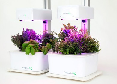 greendea, agricoltura idroponica, coltivazione idroponica greendea