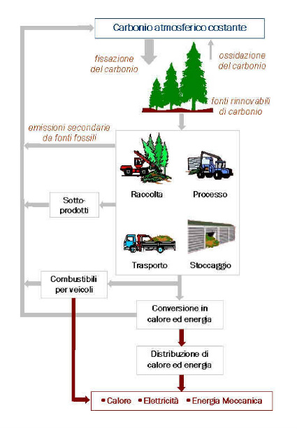 biomasse, biomasse legna, biomasse bosco