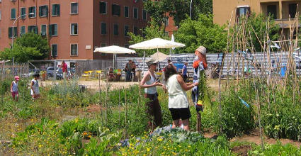 zappata romana, orto condiviso, roma, roma green, roma verde