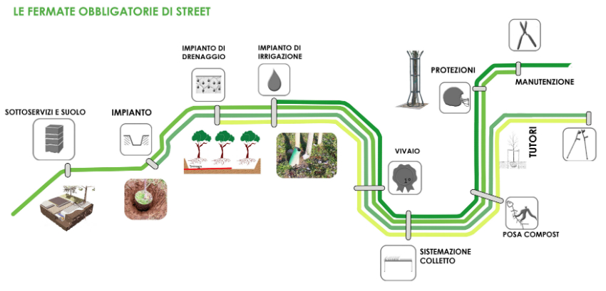 street, alberi città, città green, riqualificare città