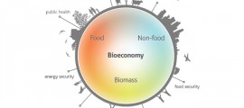 bioeconomia