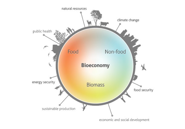 bioeconomia