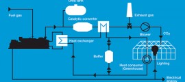 energy community e bioeconomia