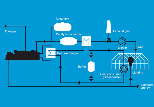 energy community e bioeconomia