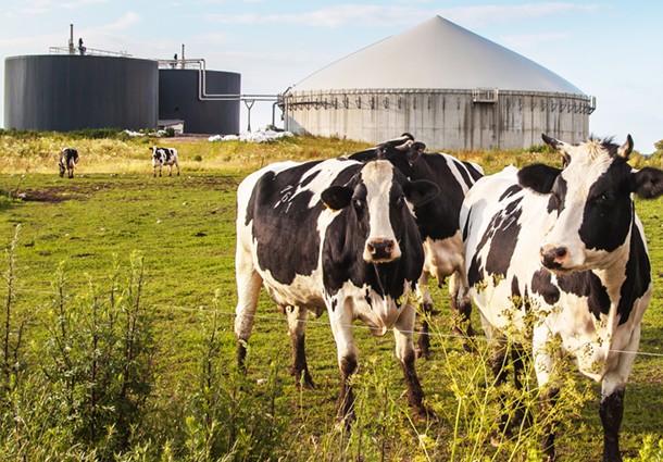 biogas,-impianti-biogas,-energie-rinnovabili