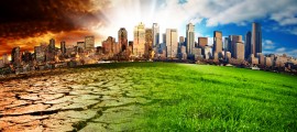 Riscaldamento Globale, Perdita Nutrienti