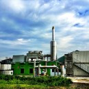Green Refinery Eni, Biocarburanti