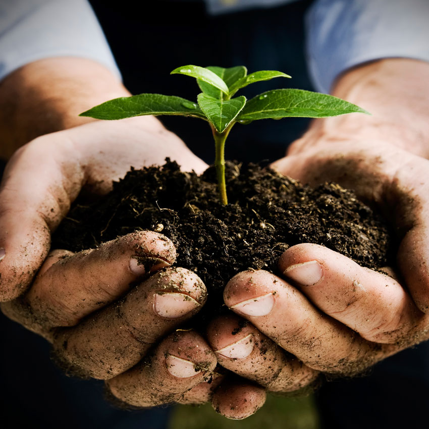 Bando Terre Originali, Agricoltura Sostenibile