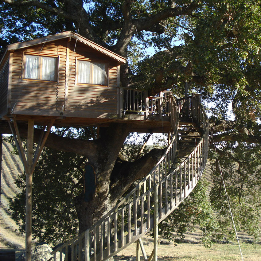 Ecoturismo, Casa sull'Albero