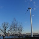 Turbina Eolica, New York Sunset Park