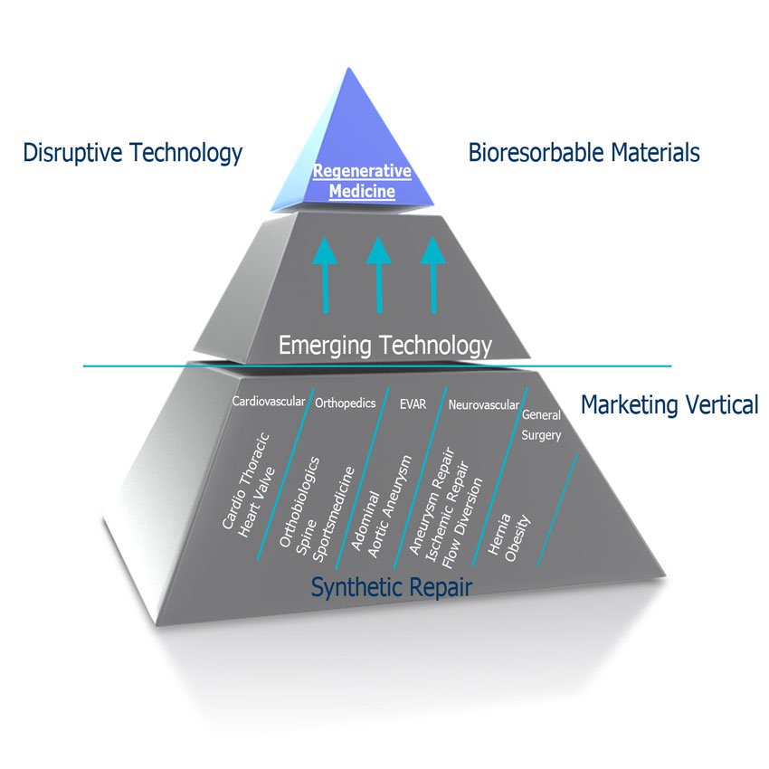 "Disruptive Technology", Cambiamento sociale