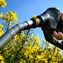 Biocombustibili da Rifiuti
