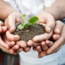 Riforestazione per la Terra dei Fuochi