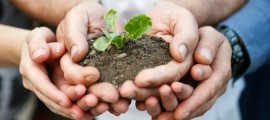 Riforestazione per la Terra dei Fuochi