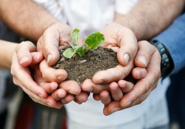 Riforestazione per la Terra dei Fuochi