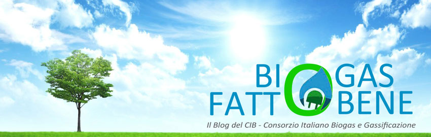 Consorzio Italiano Biogas