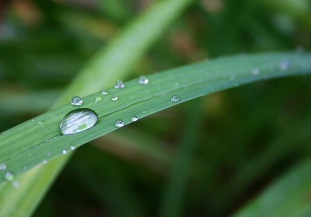 One Drop of Life, Sostenibilità