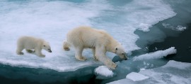 La Conferenza sul Clima di Parigi e le promesse sul cambiamento climatico