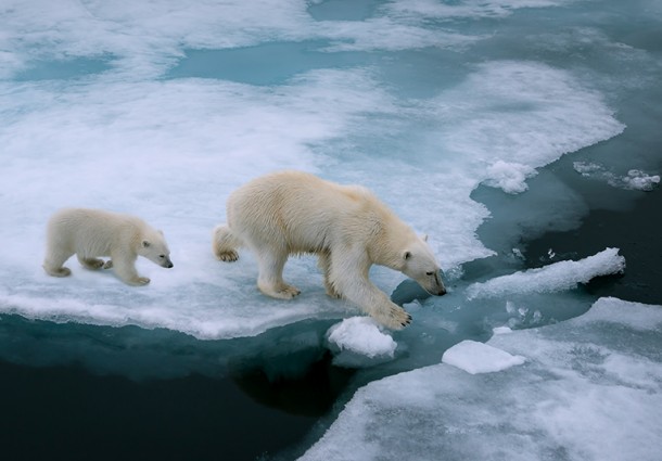 La Conferenza sul Clima di Parigi e le promesse sul cambiamento climatico