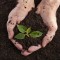Il ruolo del compost nella difesa del suolo
