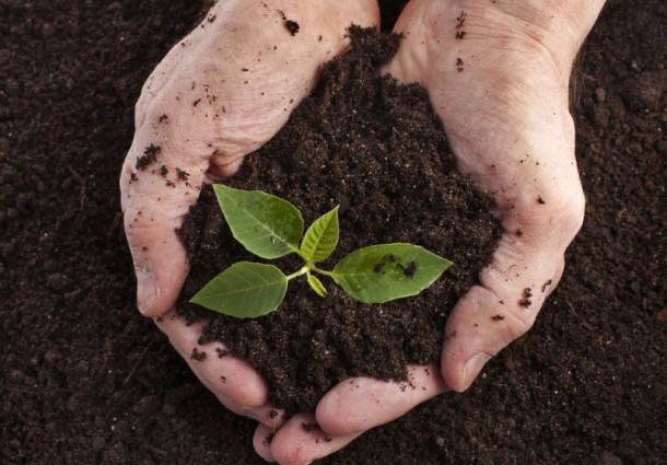 Il ruolo del compost nella difesa del suolo